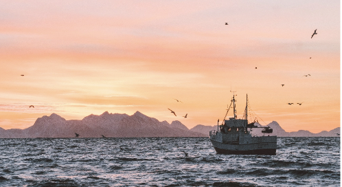 Fishers boat tracking vital sights. 